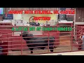 August 14th 2024 Stilwell Livestock Auction Calves Heifers Steers Cows and Bulls Oh My