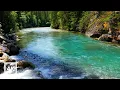Download Lagu 4K Blue Mountain River in BC Backcountry | Relaxing Nature Scene | Forest Nature Sounds White Noise