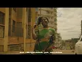 Major Lazer & Dj Maphorisa - Particular PARODY (ft. Nasty C,Ice Prince, Patoranking & Jidenna) Video