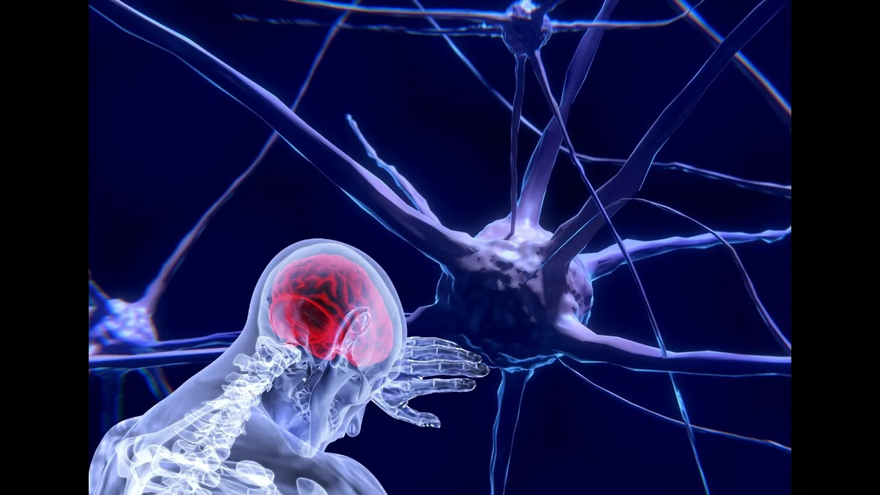 Neuroscience of Mindfulness