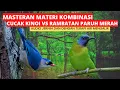 Download Lagu masteran tembakan kombinasi cucak kinoi vs rambatan paruh merah