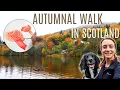 Download Lagu AUTUMNAL WALK IN SCOTLAND | Kenmore, Perthshire | Painting Waxcap Mushrooms in Watercolour | Ep40