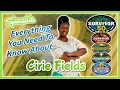 Survivor 50 Everything You Need to Know About Cirie Fields
