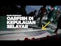 Download Lagu Geger Temuan Ikan Oarfish di Laut Selayar!
