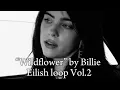 Download Lagu “Wildflower” but it’s “happy and free in leather” to the end part looped (requested)