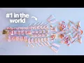 The Fish Restaurant in the World