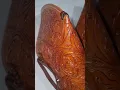 Premium western saddle Tapaderos Stirrups by Sazaar Tack