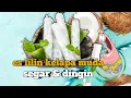 Download Lagu Buat es lilin kelapa muda untuk  jualan untung banyak. // How to make young coconut ice lolly.