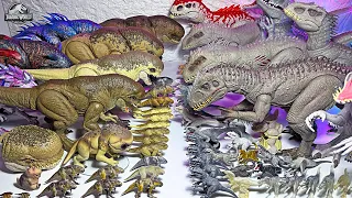 WORLD'S BIGGEST Distortus Rex VS Indominus Rex Collection!
