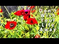 Download Lagu Don't Wish Your Life Away