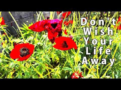 Download MP3 Don't Wish Your Life Away