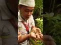 penarikan pusaka tasbih ghaib kaki gunnung gede pangranggo