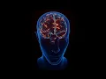 The Genius Wave Theta Brainwave – 7-Minute Focus & Clarity Audio