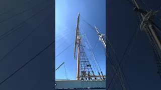 #fyp #sailing #dream #doberman #pets