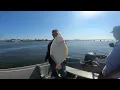 NYC-PB 24 INCH Fluke Marina 59 skiff rental 2026