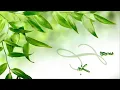 Lullaby Of The Leaves ~ Acker Bilk ~ (HD)