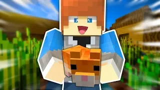 wild minecraft hamster hype minecraft modded survival 