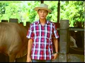 Inspirasi Usaha Episode 01 Alternative Livestock Feed