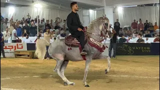 مرسيدس وابراهيم غزال مركز اول خيول مسجله مهرجان الشرقيه للخيول العربية 2025 