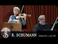 Lagu Robert Schumann | Violin Sonata No.1 in A minor op. 105