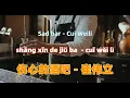Download Lagu 伤心的酒吧 - 崔伟立.shang xin de jiu ba.Sad bar - Cui Weili.Chinese songs lyrics with Pinyin.