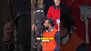 THE ROYAL HORSE THAT REMINDED EVERYONE WHAT RESPECT MEANS 