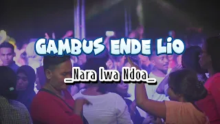 Download LAGU JOGET TERBARU - GAMBUS ENDE LIO - NARA IWA NDOA REMIX MP3