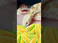 Download Lagu IT’S CORN! #reptile #snake #itscorn
