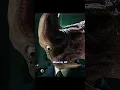 Download Lagu Parasyte | Shinichi’s Unexpected Victory Over Parasite A in a Narrow Alley