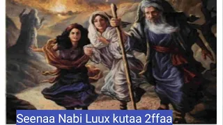 seenaa nabi luux history of prophet lot afaan oromoo kutaa 2ffaa
