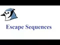 How to use Escape Sequences in Java