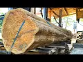 Download Lagu Discovery of Ancient wood over 100 years old in a wood processing factory 