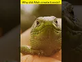 Download Lagu Why did Allah create lizards? #islamicstory #islamicshorts #allah #prophetmuhammad