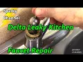 Delta Kitchen Faucet Leak Repair Single Handle