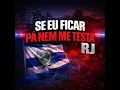 Se Eu Ficar Pá Nem Me Testa Rj