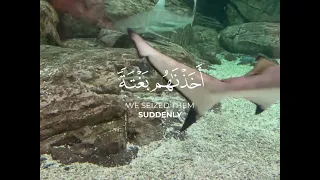 فلما نسوا ما ذكروا به القارئ محمد الجوعي سورة الأنعام  فلما نسوا ما ذكروا به القارئ محمد الجوعي سورة الأنعام