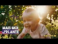 JE SUIS CE QUE JE PLANTE – reggae poétique sur le pardon, les graines et la lumière