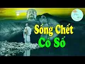 Lagu Sống Chết Có Số Phú Quý Do Trời - Lời Phật Dậy Giúp Tâm Thanh Tịnh Hơn - Phật Giáo VN