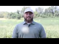MKC Internship Program Decision Ag Consultant