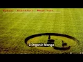 Download Lagu HAT | Haruomi Hosono,Atom Heart and Tetsu Inoue - Tokyo   Frankfurt   New York full album(1996)