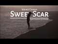 Download Lagu Weird Genius - Sweet Scar (Sape' Cover by Alif Fakod)