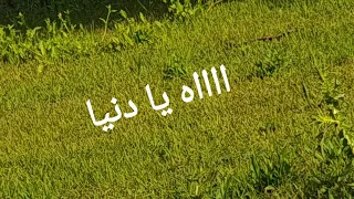 زرعت فدان جمايل واربعة معروف دندنها
