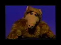 Download Lagu Alf on Jeopardy TV Dolls Category