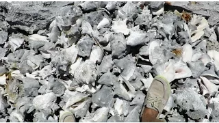 STRANDED ON NORMAN’S CAY