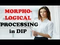 MORPHOLOGICAL ALGORITHMS IN DIP Everything You Need to Know About MORPHOLOGICAL ALGORITHMS IN DIP