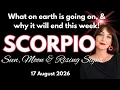 SCORPIO HOROSCOPE - CAN YOU TRUST THE TEACHER FIND OUT THIS WEEK