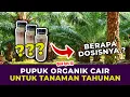 Download Lagu DOSIS PUPUK ORGANIK CAIR UNTUK TANAMAN TAHUNAN? | Kelapa Sawit, Jakaba Super, Bakteri Fotosintesis