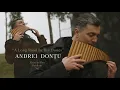 Lagu RAIMONDS PAULS - A Long Road In The Dunes ( COVER by Andrei Donțu ) \
