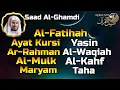 Lagu Al Fatihah, Ayat Al Kursi, Yasin, Ar Rahman, Al Waqiah, Al Mulk, Al Kahf, Maryam By Saad Al Ghamdi 🕌