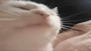                           ای من نختمه ۶ صبح بیه   صائب صادقی دندنها